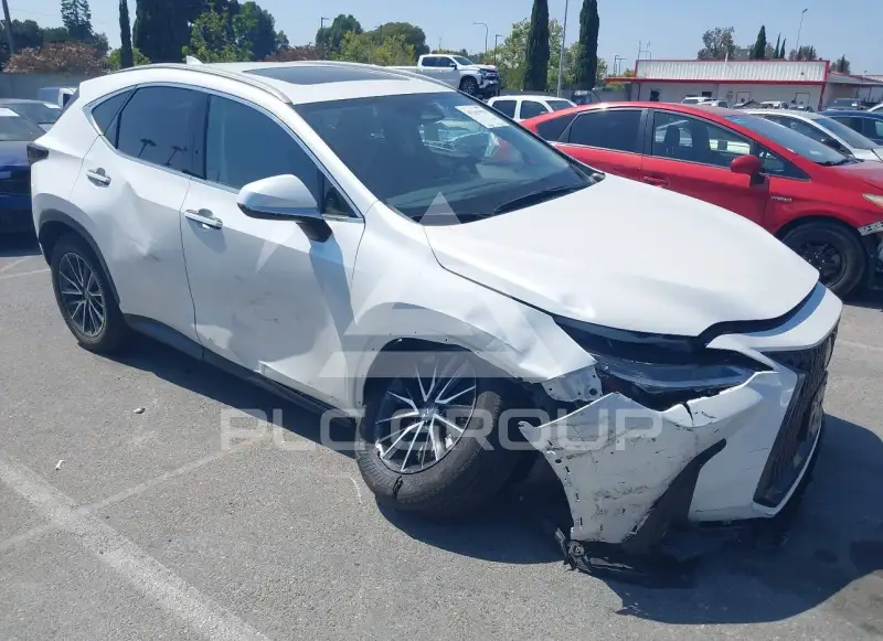 2024 Lexus NX250 фото
