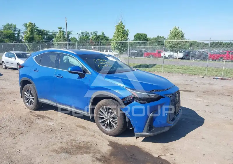 2024 Lexus NX250 фото