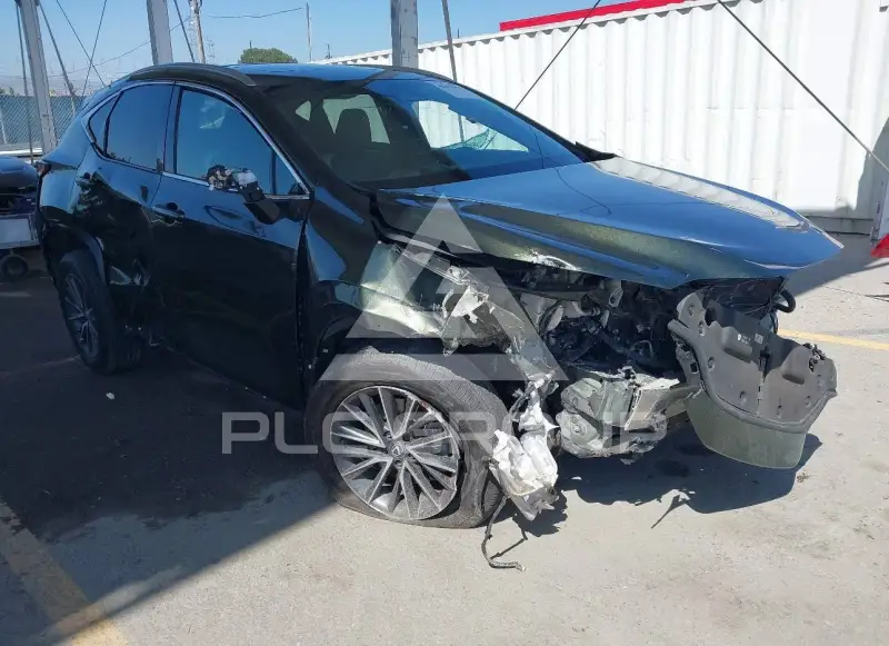 2024 Lexus NX250 фото