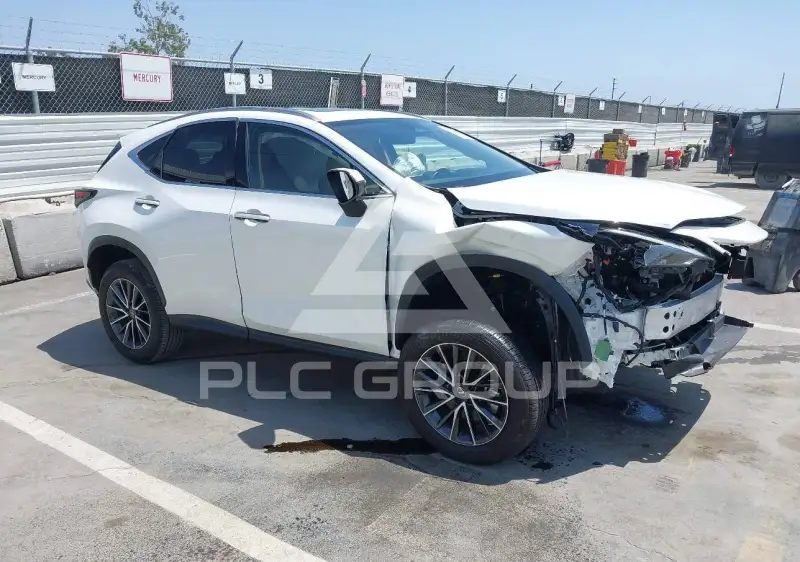 2024 Lexus NX250 фото