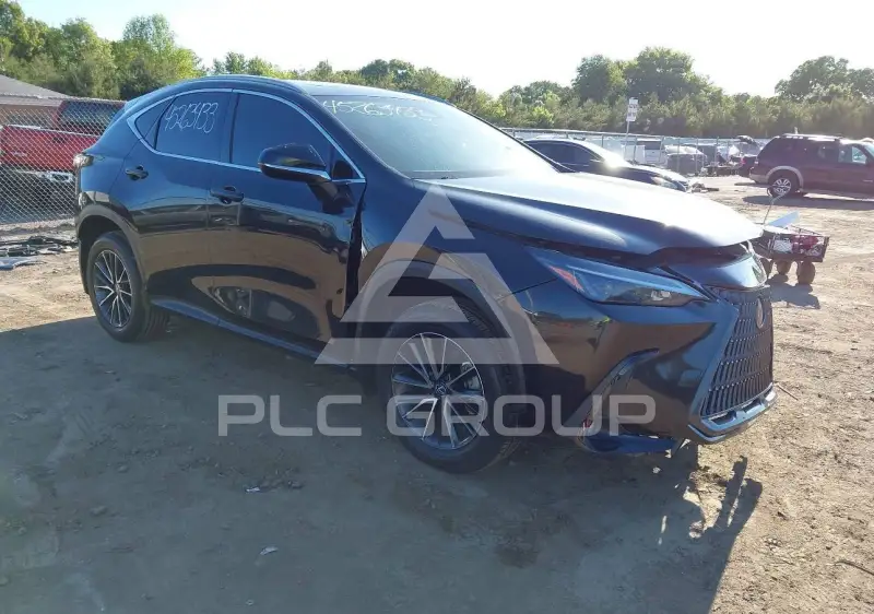 2024 Lexus NX250 photo