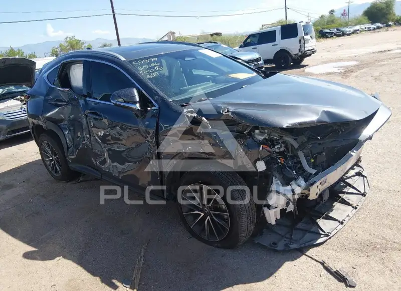 2024 Lexus NX250 photo