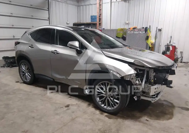 2024 Lexus NX250 фото