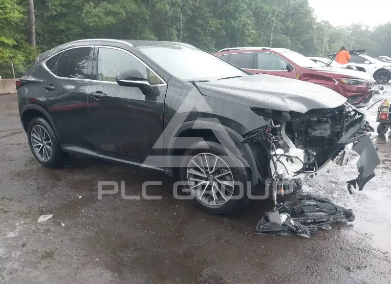 2024 Lexus NX250 photo