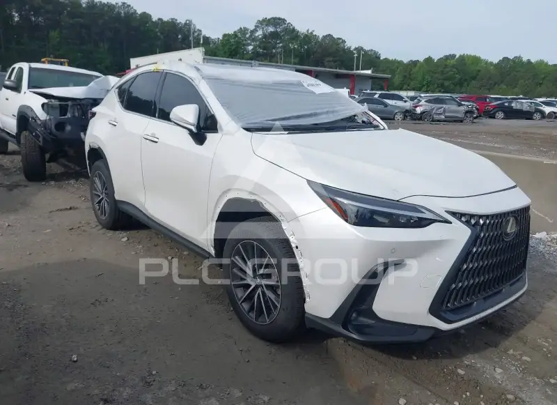 2024 Lexus NX250 photo