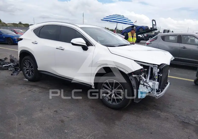 2024 Lexus NX250 фото