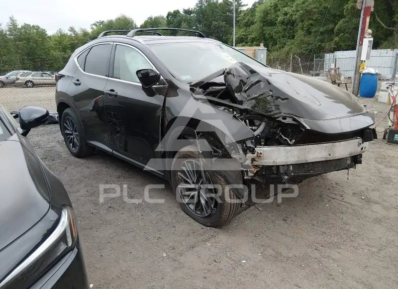 2024 Lexus NX250 фото