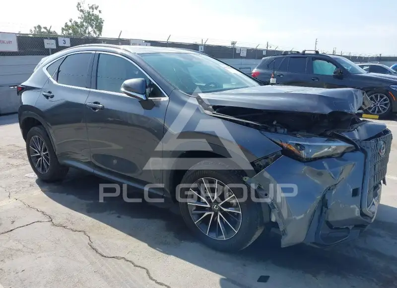 2024 Lexus NX250 photo
