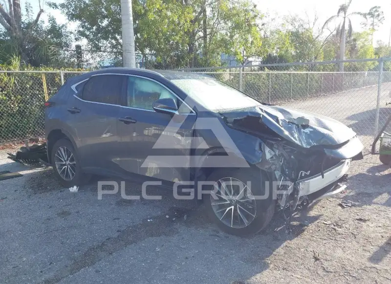 2024 Lexus NX250 фото