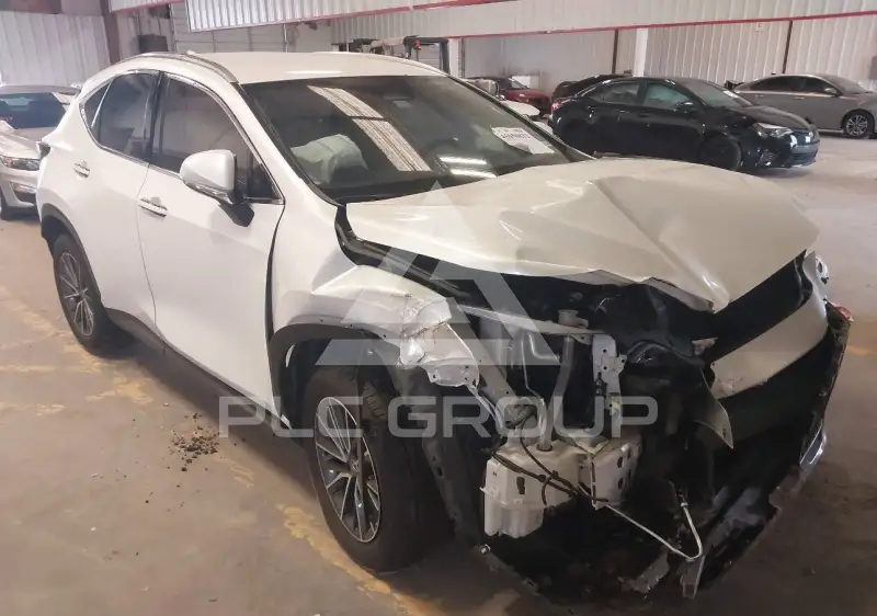 2024 Lexus NX250 фото