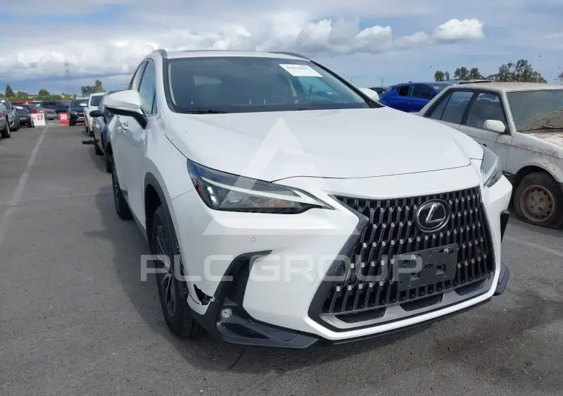 2024 Lexus NX250 фото
