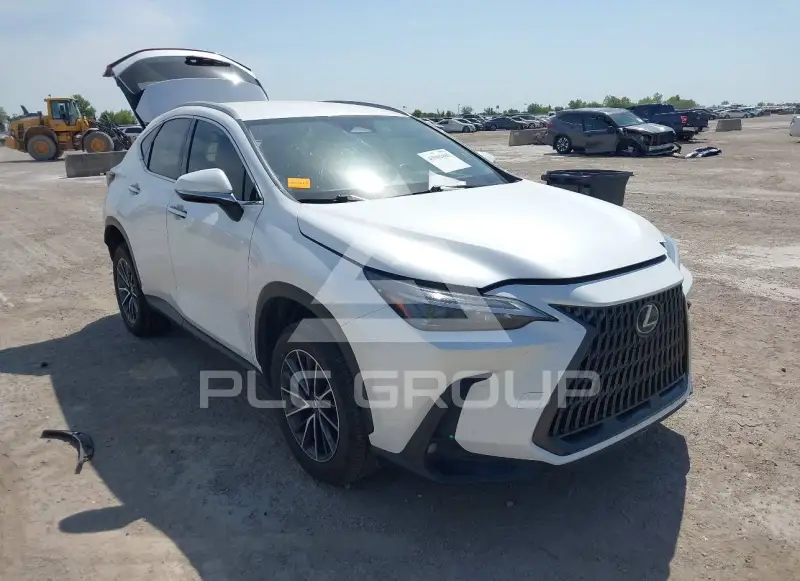 2024 Lexus NX250 photo