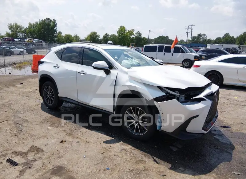 2024 Lexus NX250 photo