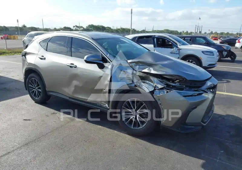 2024 Lexus NX250 фото