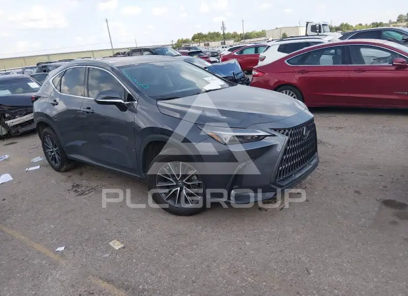 2024 Lexus NX250 photo