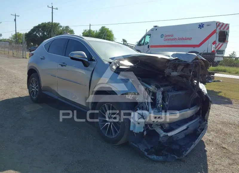 2024 Lexus NX250 фото