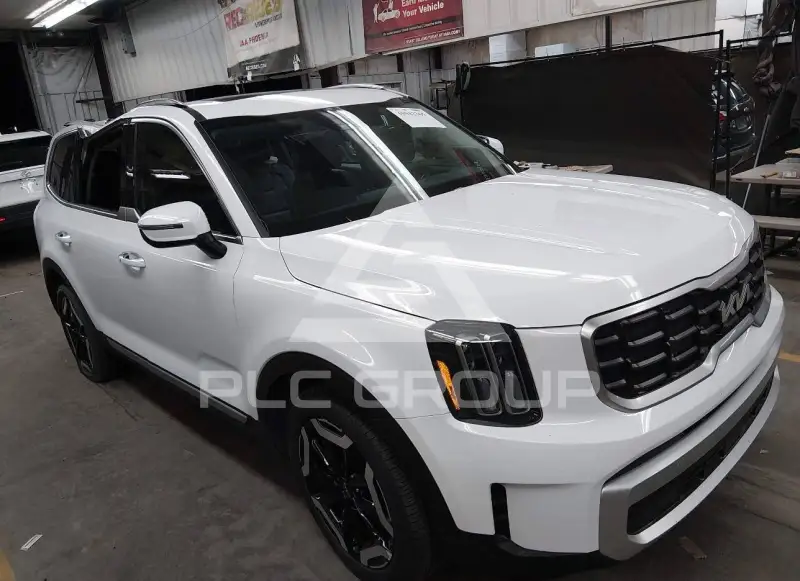 2024 KIA Telluride photo