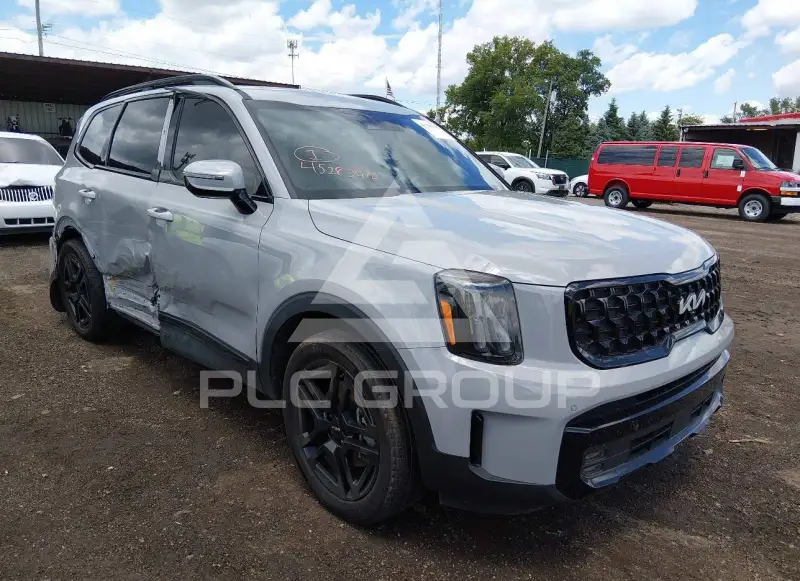 2024 KIA Telluride photo