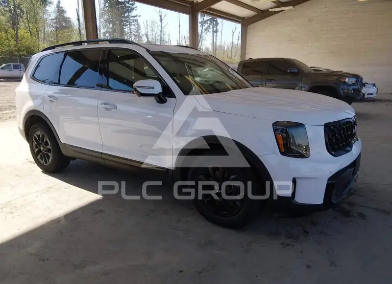 2024 KIA Telluride фото