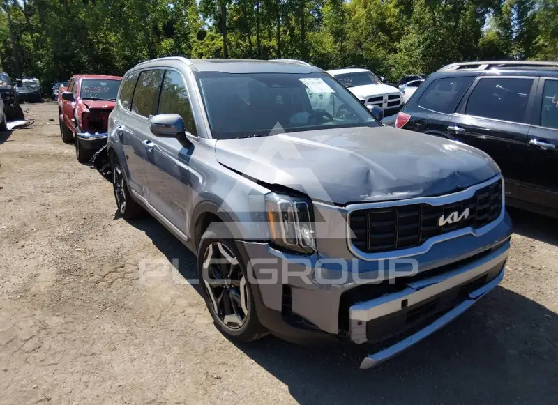 2024 KIA Telluride photo