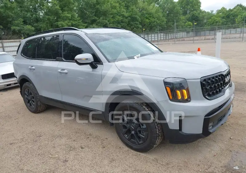 2024 KIA Telluride photo