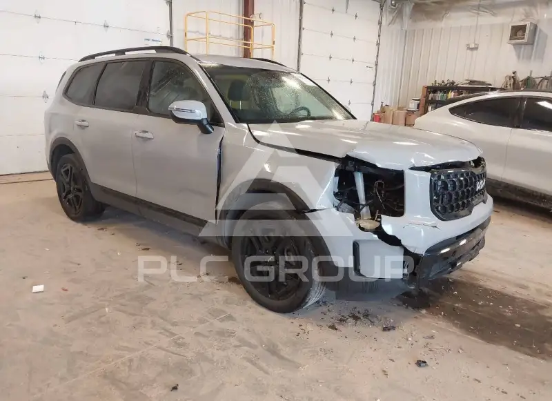 2024 KIA Telluride photo