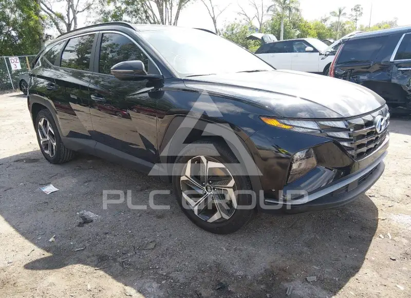 2024 Hyundai Tucson photo
