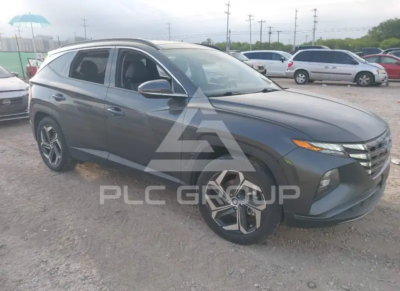 2024 Hyundai Tucson photo