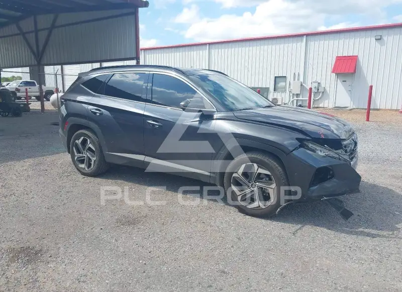 2024 Hyundai Tucson photo