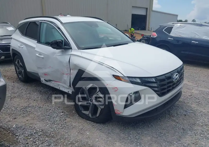 2024 Hyundai Tucson photo