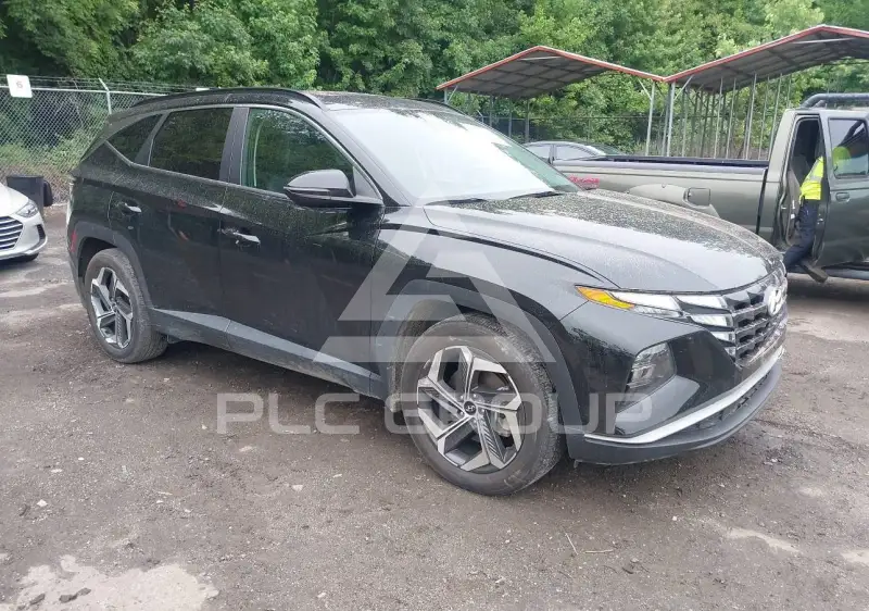2024 Hyundai Tucson photo