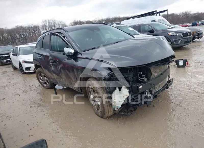 2024 Hyundai Tucson photo