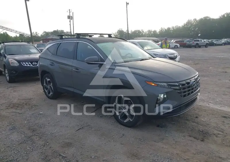2024 Hyundai Tucson photo