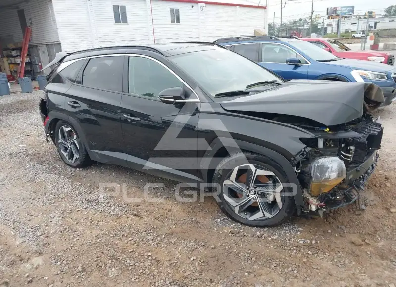 2024 Hyundai Tucson photo