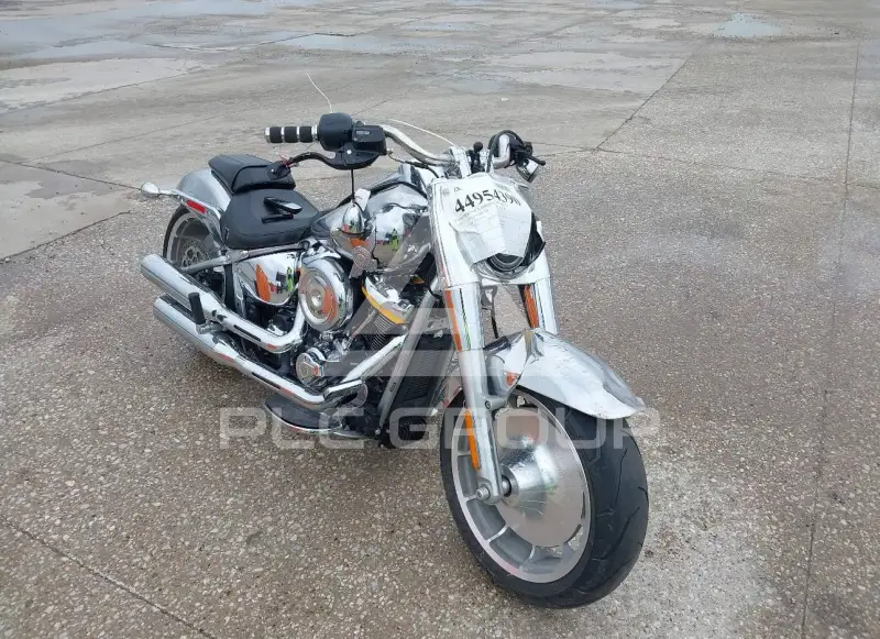 2025 Harley-Davidson FLSTFI фото