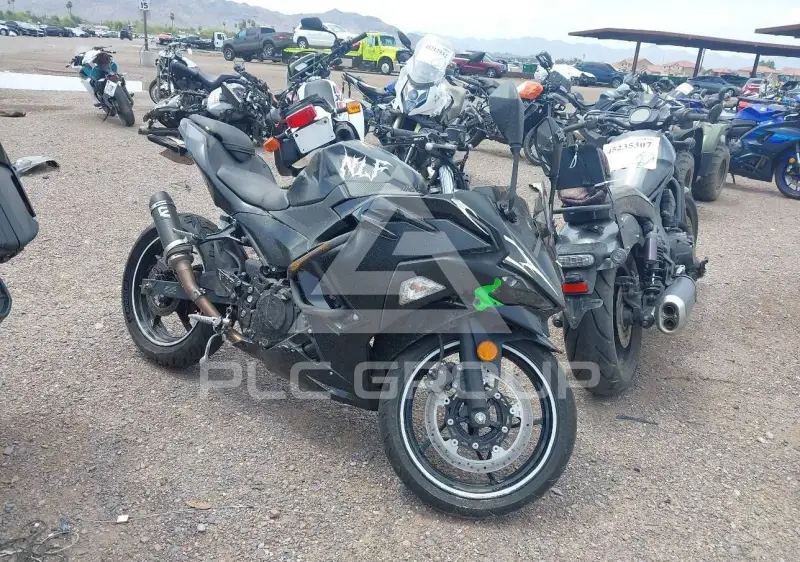 2025 Kawasaki EX500 фото