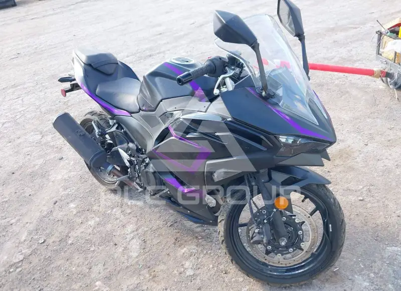 2025 Kawasaki EX500 фото