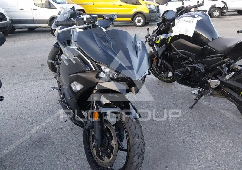 2025 Kawasaki EX500 photo