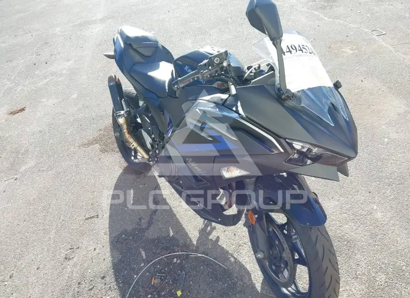 2025 Kawasaki EX500 фото