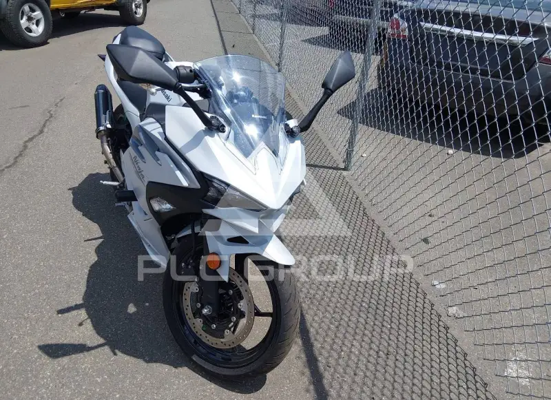 2025 Kawasaki EX500 фото