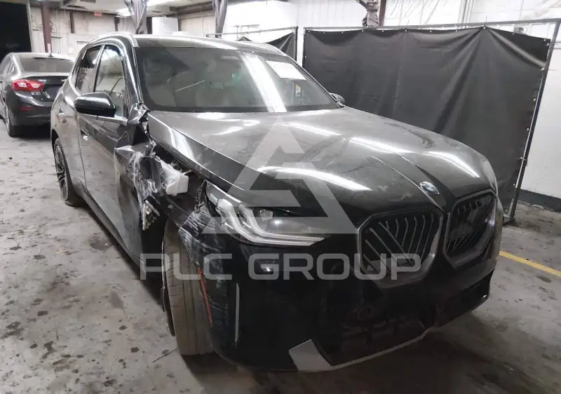 2025 BMW X3 photo