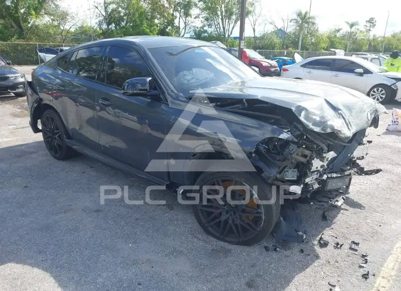 2025 BMW X6 photo