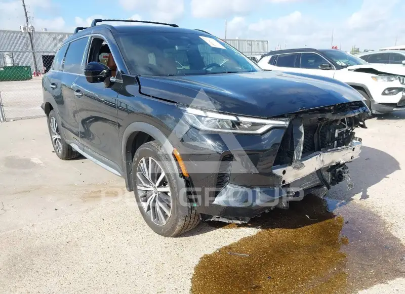 2025 Infinity QX60 фото