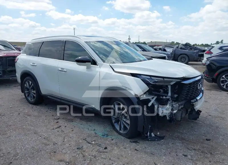 2025 Infinity QX60 photo