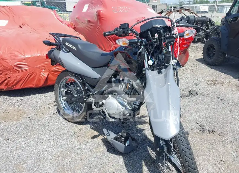 2025 Honda XR photo