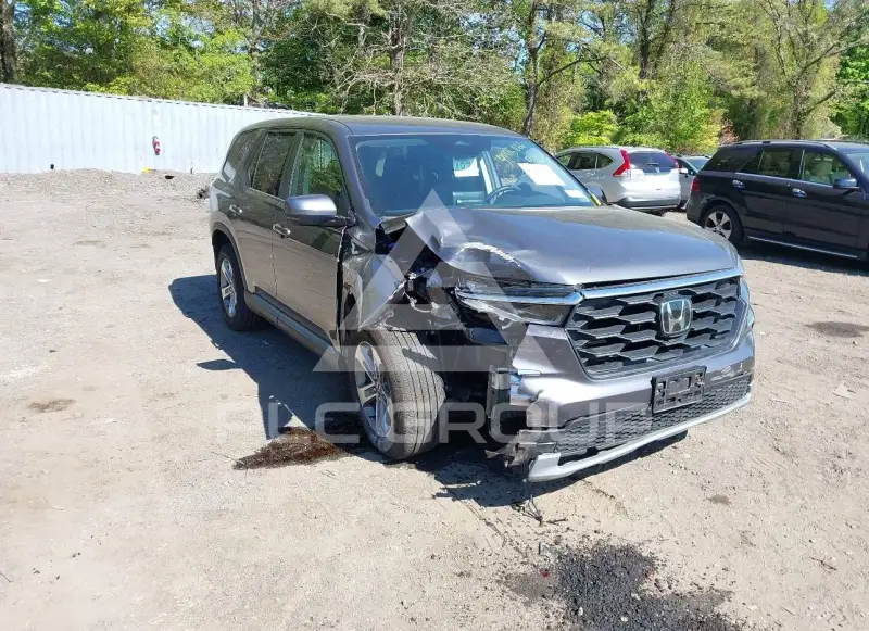 2025 Honda PILOT фото