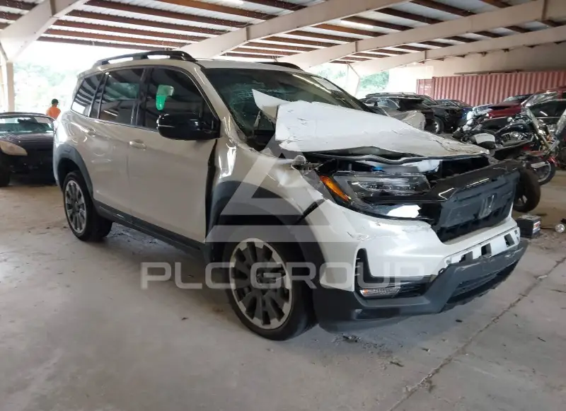 2025 Honda PASSPORT photo
