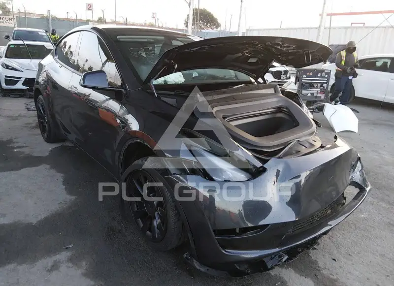 2025 Tesla Model Y photo