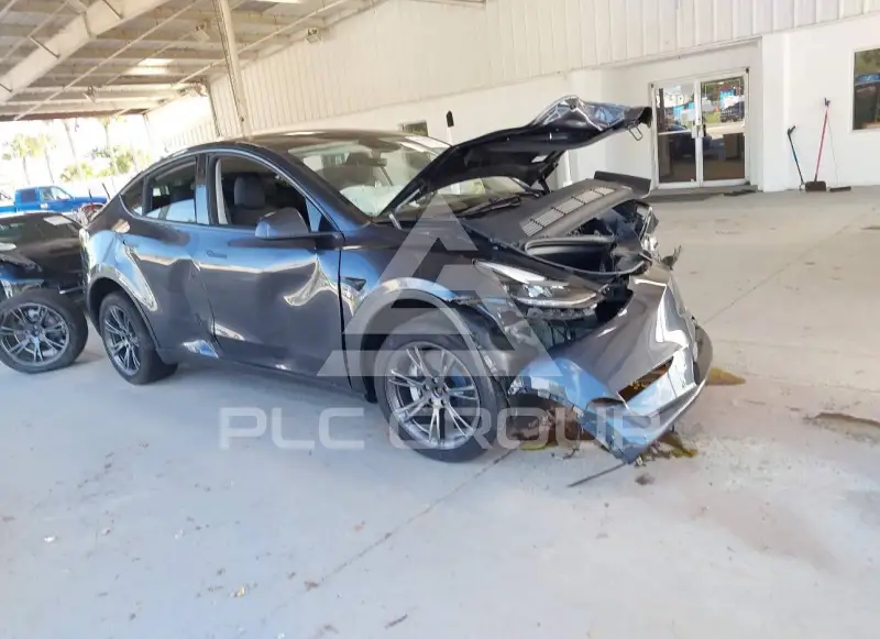 2025 Tesla Model Y photo