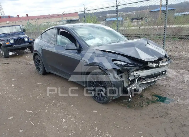 2025 Tesla Model Y photo